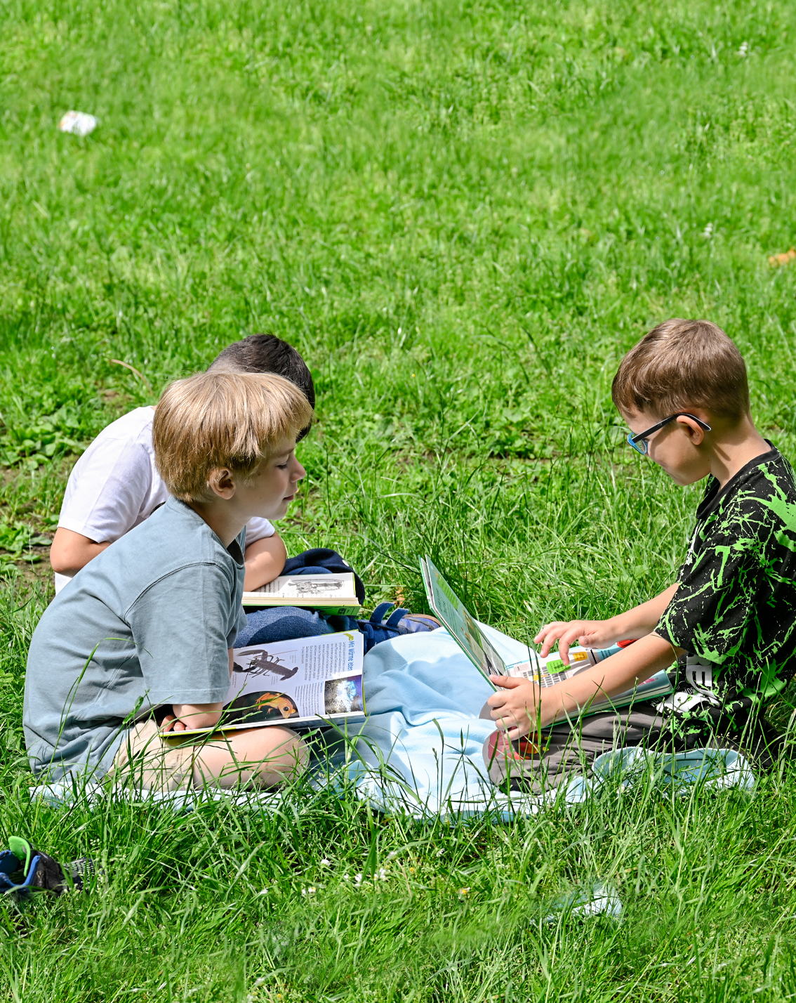 Lesen im Park 6