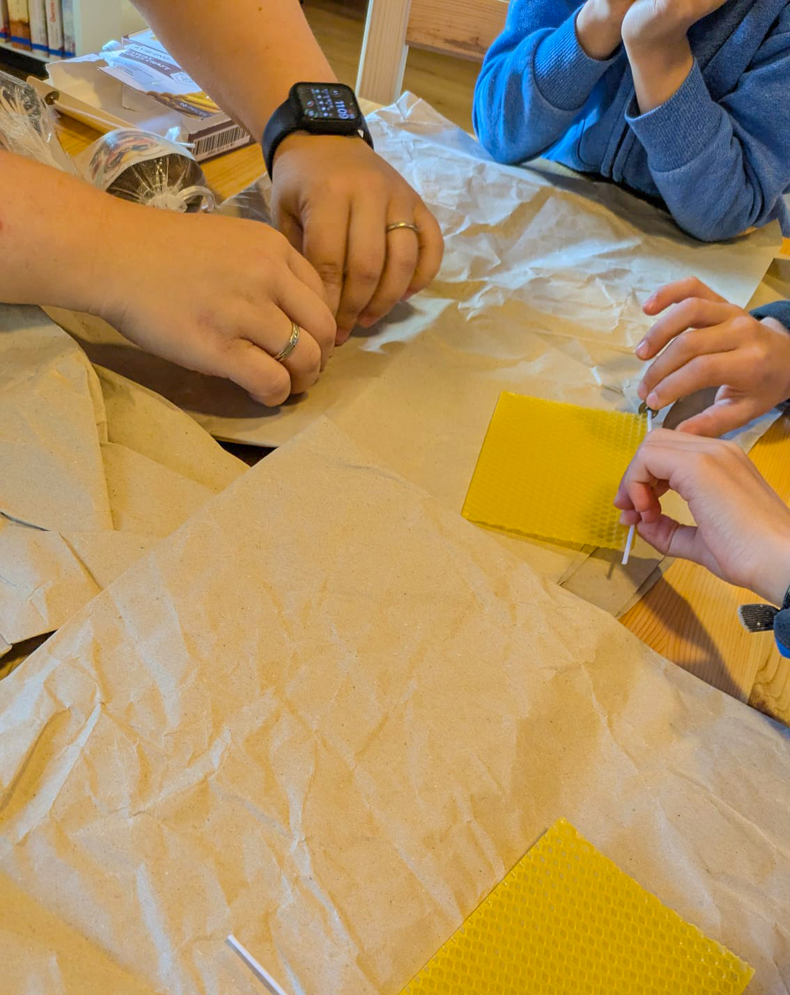 bienenworkshop4