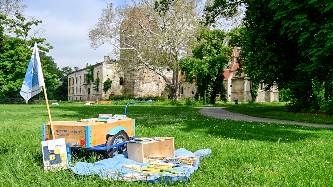 Lesen mit der 2C im Park, 4. 5. 25